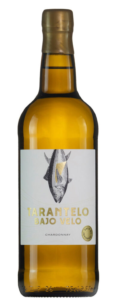 Tarantelo-Bajo-Velo Tarantelo Bajo Velo
